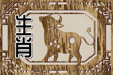 1997属相|1997年属什么属相 1997年属什么生肖